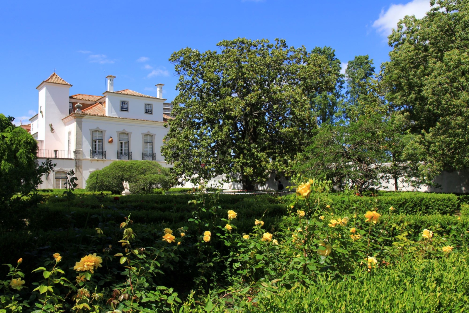 Um jardim florido na primavera, com um palácio em segundo plano.